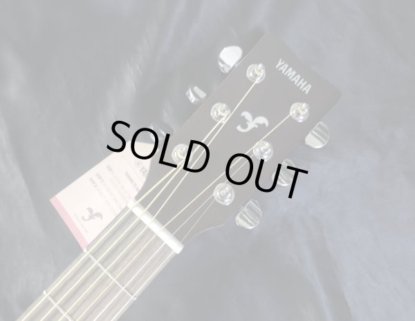 画像5: Yamaha / FG-800 Natural  (新品)　 (5)