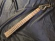 画像1: Fernandes / 24F Neck Black (1)