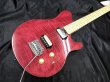 画像5: Sterling by MUSIC MAN / SUB AXIS Flame Maple Stain Pink（新品） (5)