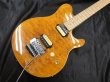 画像8: Sterling by Musicman / AX40 AXIS Transparent Gold（新品）日本限定復刻！限定発売品！ (8)