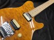 画像9: Sterling by Musicman / AX40 AXIS Transparent Gold（新品）日本限定復刻！限定発売品！ (9)