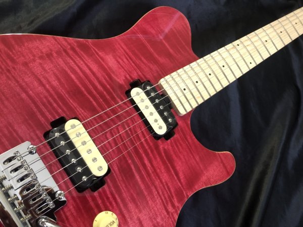 画像3: Sterling by MUSIC MAN / SUB AXIS Flame Maple Stain Pink（新品・送料無料） (3)
