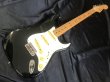 画像1: Fender Japan / ST-43 362Body (1)