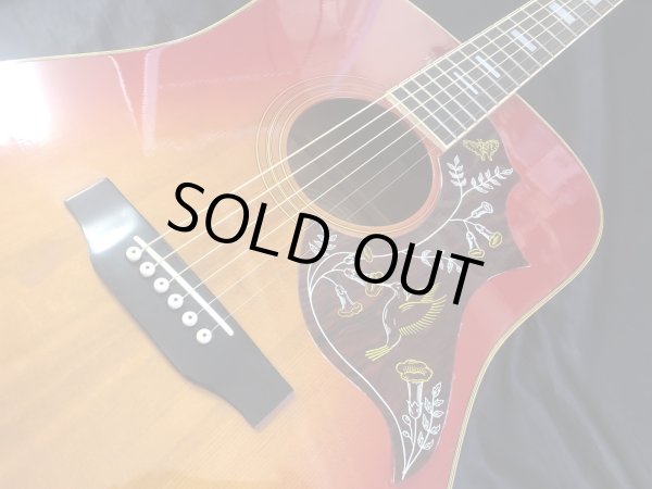 画像4: Morris / WH-25 ハミングバード 日本製 (4)