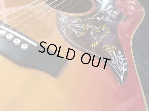 画像6: Morris / WH-25 ハミングバード 日本製 (6)