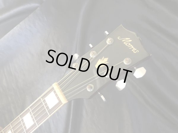 画像8: Morris / WH-25 ハミングバード 日本製 (8)