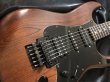 画像3: Fender Japan / STR-110HD MBR (3)