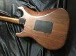 画像8: Fender Japan / STR-110HD MBR (8)
