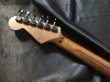 画像10: Fender Japan / STR-110HD MBR (10)