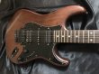 画像2: Fender Japan / STR-110HD MBR (2)