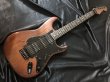 画像1: Fender Japan / STR-110HD MBR (1)