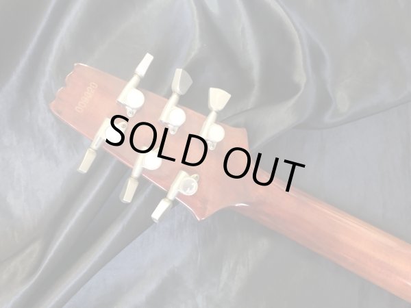 画像11: Aria Pro II / PE-R60 Antique Brown (11)