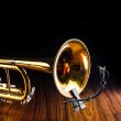 画像4: Seruniaudio / SEM-02 Microphone with Clip for Trumpet & Saxophone トランペット・サックス用・外付けマイク（トロンボーン、ホルン、フレンチホルンにも対応） (4)