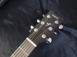 画像6: Yamaha / FS-800 Natural  (新品)　 (6)