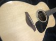 画像3: Yamaha / FS-800 Natural  (新品)　 (3)