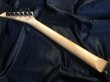 画像7: Jackson Stars / KV-BN03 TR / King V (7)