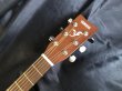 画像4: Yamaha / F-38PJ TBS  (4)