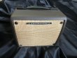 画像1: Ibanez / T15II Troubadour アンプ エレアコ用15W (1)