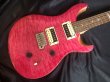 画像2: Paul Reed Smith / SE Custom 24 Bonnie Pink Quilt (2)