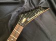画像5: Grover Jackson / RRA-52 Randy Rhoads V (5)