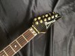 画像6: Ibanez / RG670 (1989) 日本製 (6)