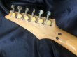 画像10: Ibanez / RG670 (1989) 日本製 (10)