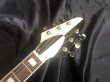 画像7: LG Guitar / LG-FV-MS / BLOCK / Black & White (新品・送料無料) (7)