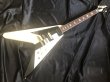 画像1: LG Guitar / LG-FV-MS / BLOCK / Black & White (新品・送料無料) (1)