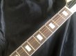 画像6: LG Guitar / LG-FV-MS / BLOCK / Black & White (新品・送料無料) (6)