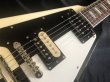 画像4: LG Guitar / LG-FV-MS / BLOCK / Black & White (新品・送料無料) (4)