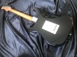 画像5: Bacchus / BST-2-RSM/R BLK (新品) (5)