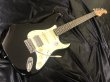 画像1: Bacchus / BST-2-RSM/R BLK (新品) (1)