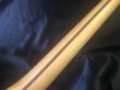 画像9: Fender Mexico / Player Telecaster Left Hand  (9)