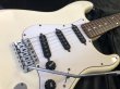 画像6: Fender Japan / ST72-55 Aシリアル (6)