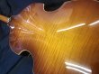 画像9: Hofner / Violin Bass Ignition-Limited Edition- / HI-500/1-SB (新品)　 (9)